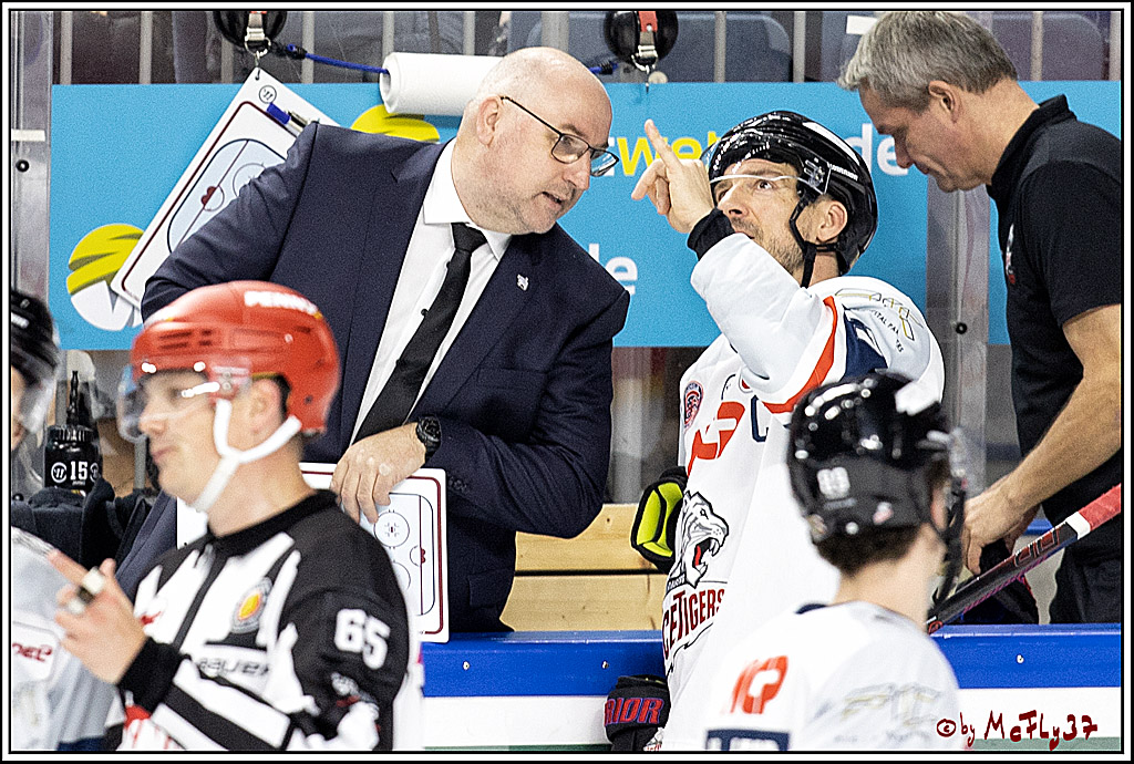 PENNY DEL;  Koelner Haie - Nuernberg Ice Tiger; Koeln, 21.09.2021